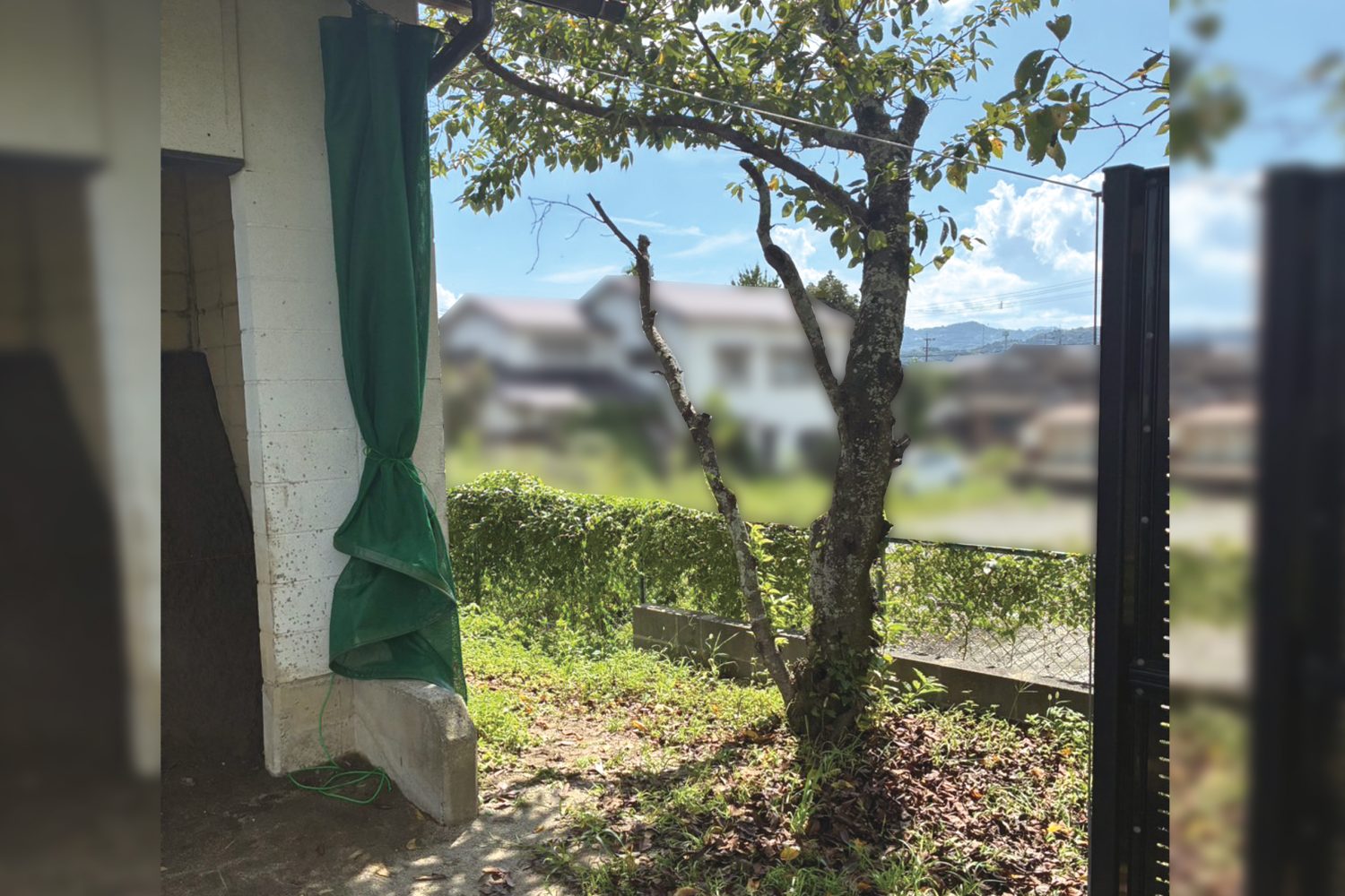 弓道場防矢ネット取り付け